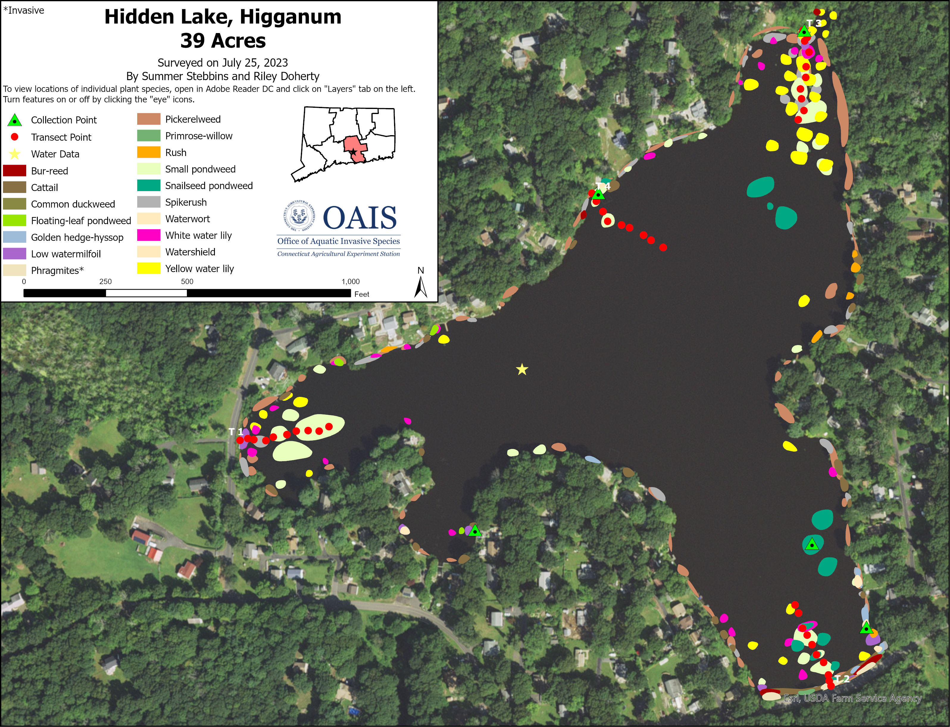 Aquatic vegetation survey map of Hidden Lake in Higganum, CT.