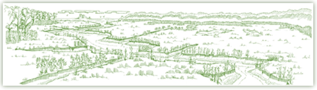 tidal wetlands sketch