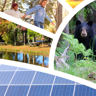 DEEP programs and services