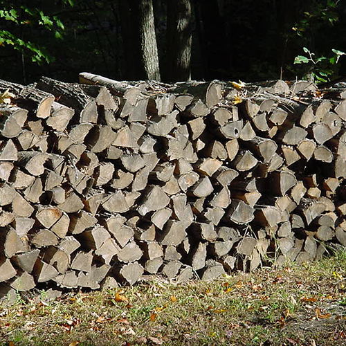 Stacked firewood