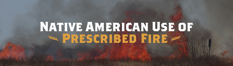 Header image of Prescribed Fire