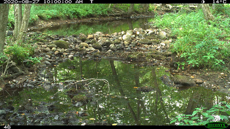 Streamflow Category 2