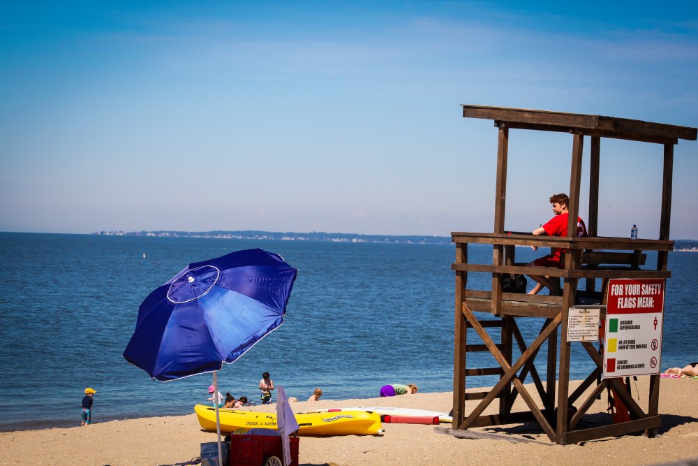 A lifeguard at a State swim area.