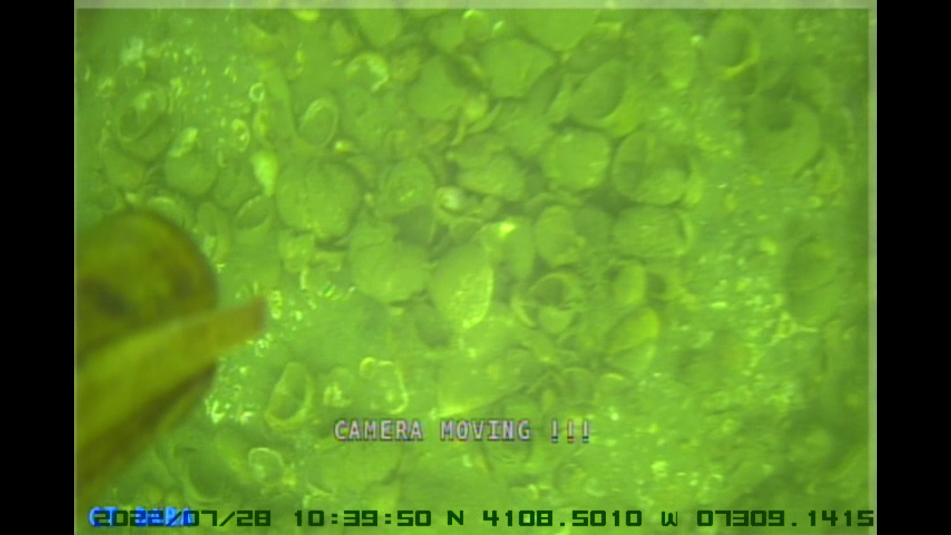 Natural bed restoration