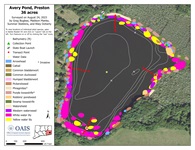 Aquatic vegetation map for the 2023 survey of Avery Pond 2023.