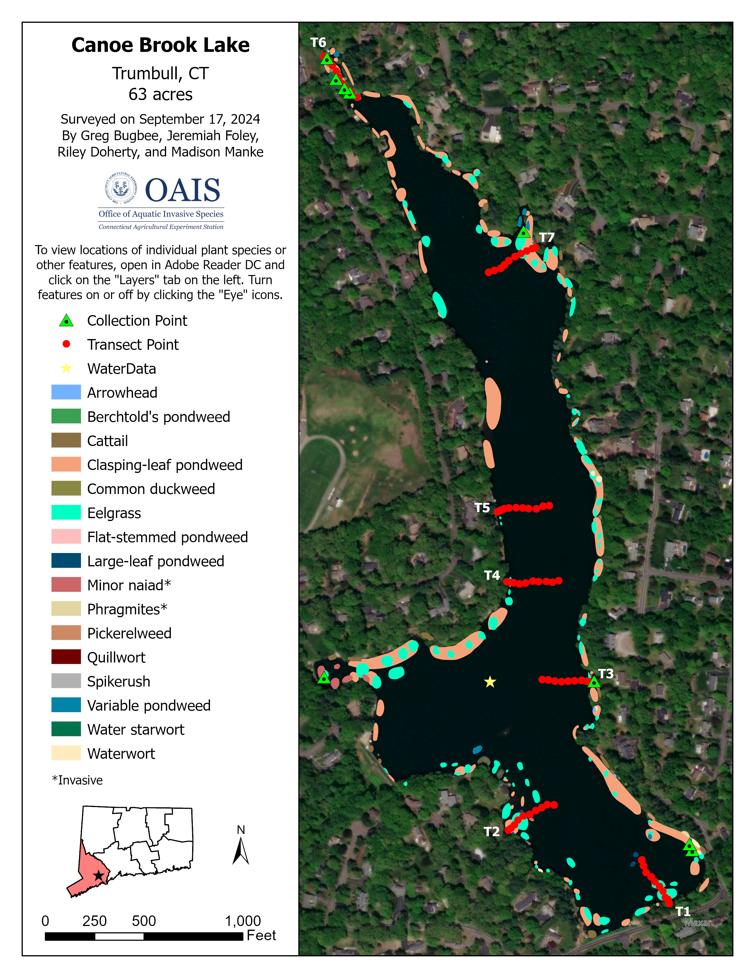 Aquatic vegetation map for the 2024 Canoe Brook Lake survey.