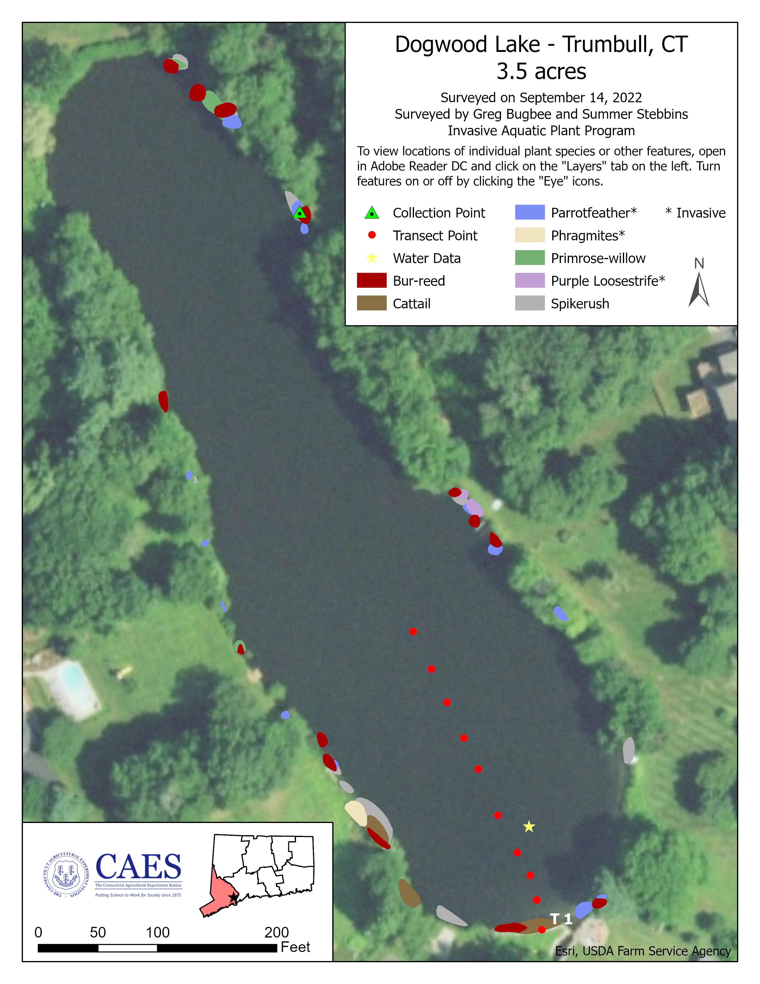 Dogwood Lake in Trumbull, 2022