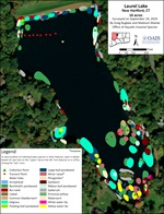 Aquatic vegetation map of Laurel Lake in New Hartford, CT. Different colors represent different plant species.