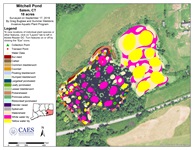 CAES IAPP survey map of Mitchell Pond in 2019