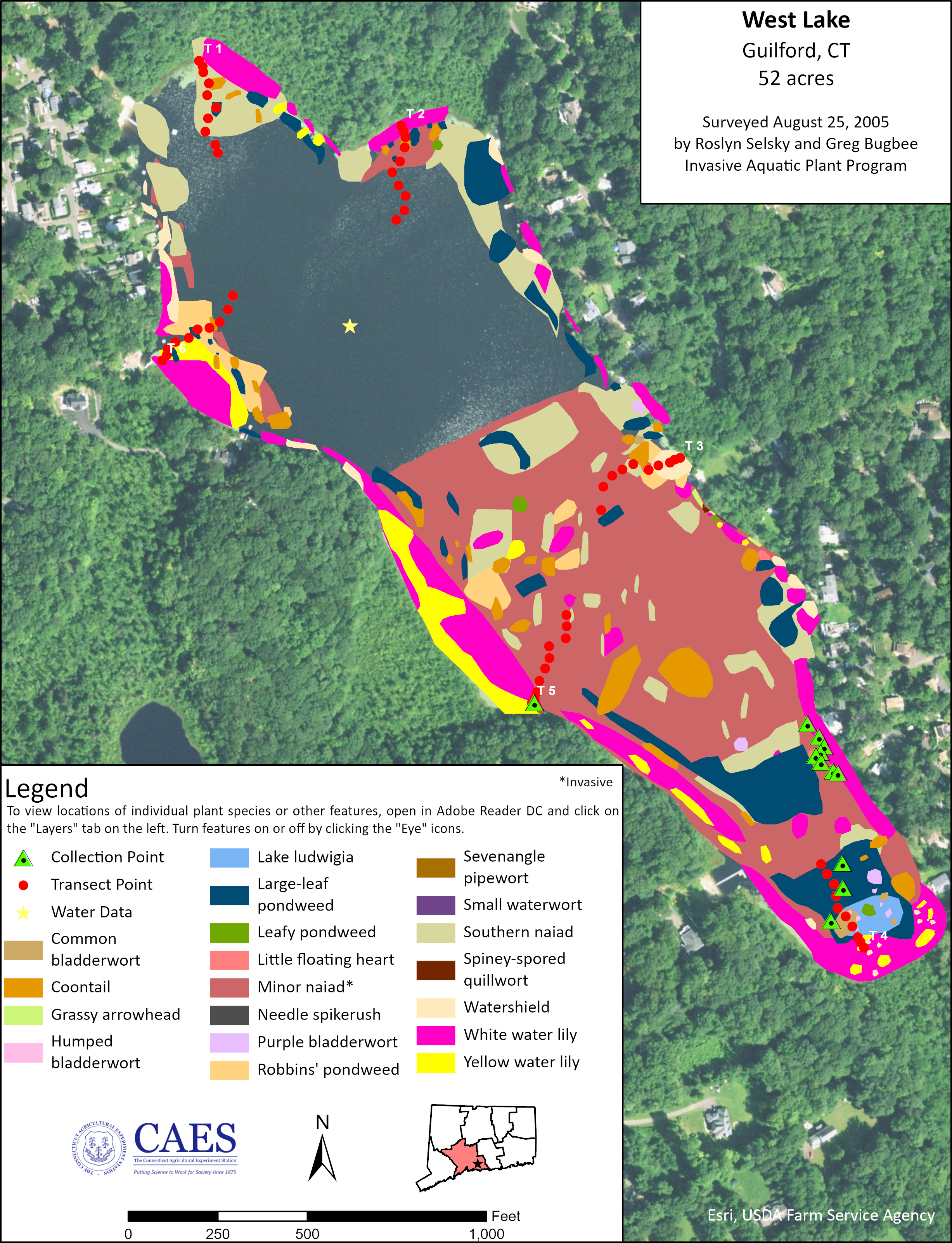 West Lake Photo 2005