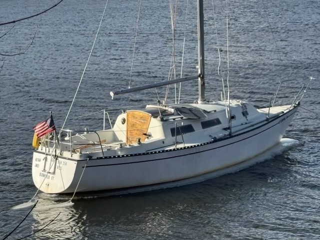 29', WD Schock Santana