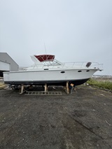 37'6", Trojan Express