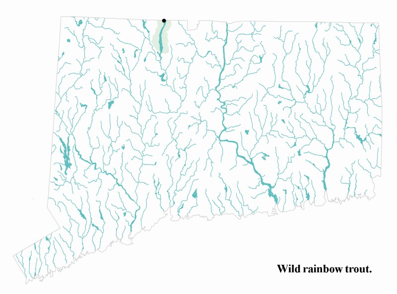 Wild brown trout distribution map.