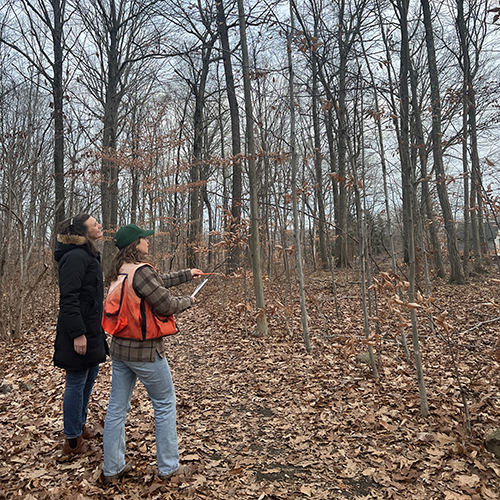 Service Forester Andrea Urbano providing technical assistance to landowner