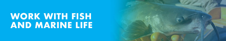 Image if catfish with text work with fish and marine life