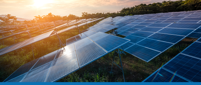 PermitsLicensesOverviewImg