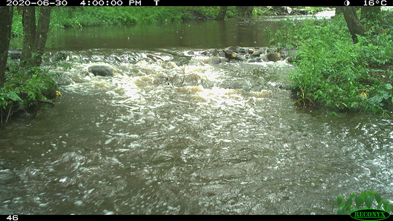 Streamflow Category 5