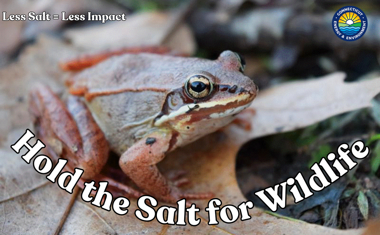 Hold the Salt for Wildlife