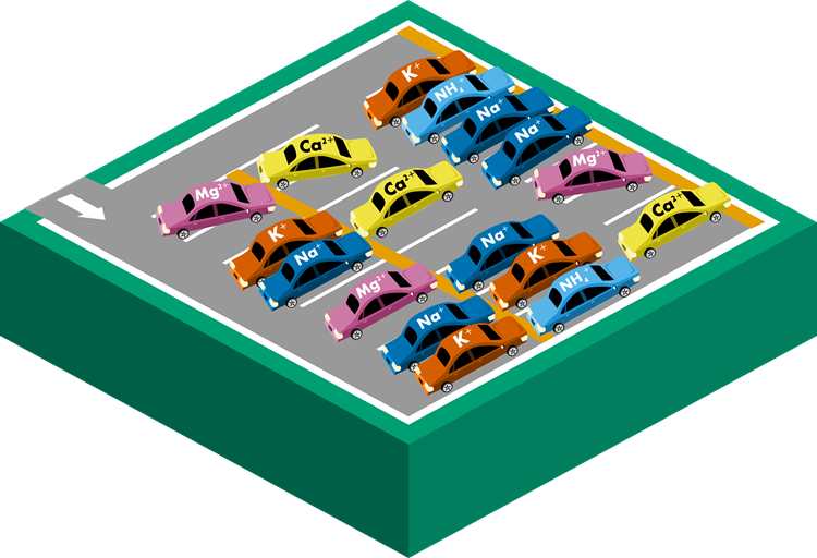 Infographic illustrating soil chemistry represented by a parking lot