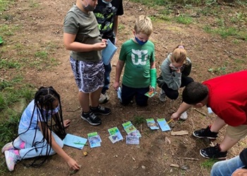 Students match animal cards with their correct habitats.