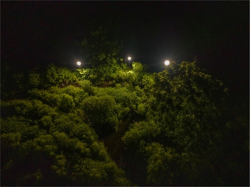 Experimental Floodlights at Great Hollow Nature Preserve and Ecological Research Center
