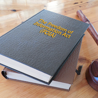 Citizen Guide Pic of Books