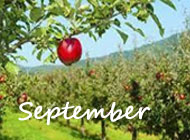 September 2022 FAB Topic