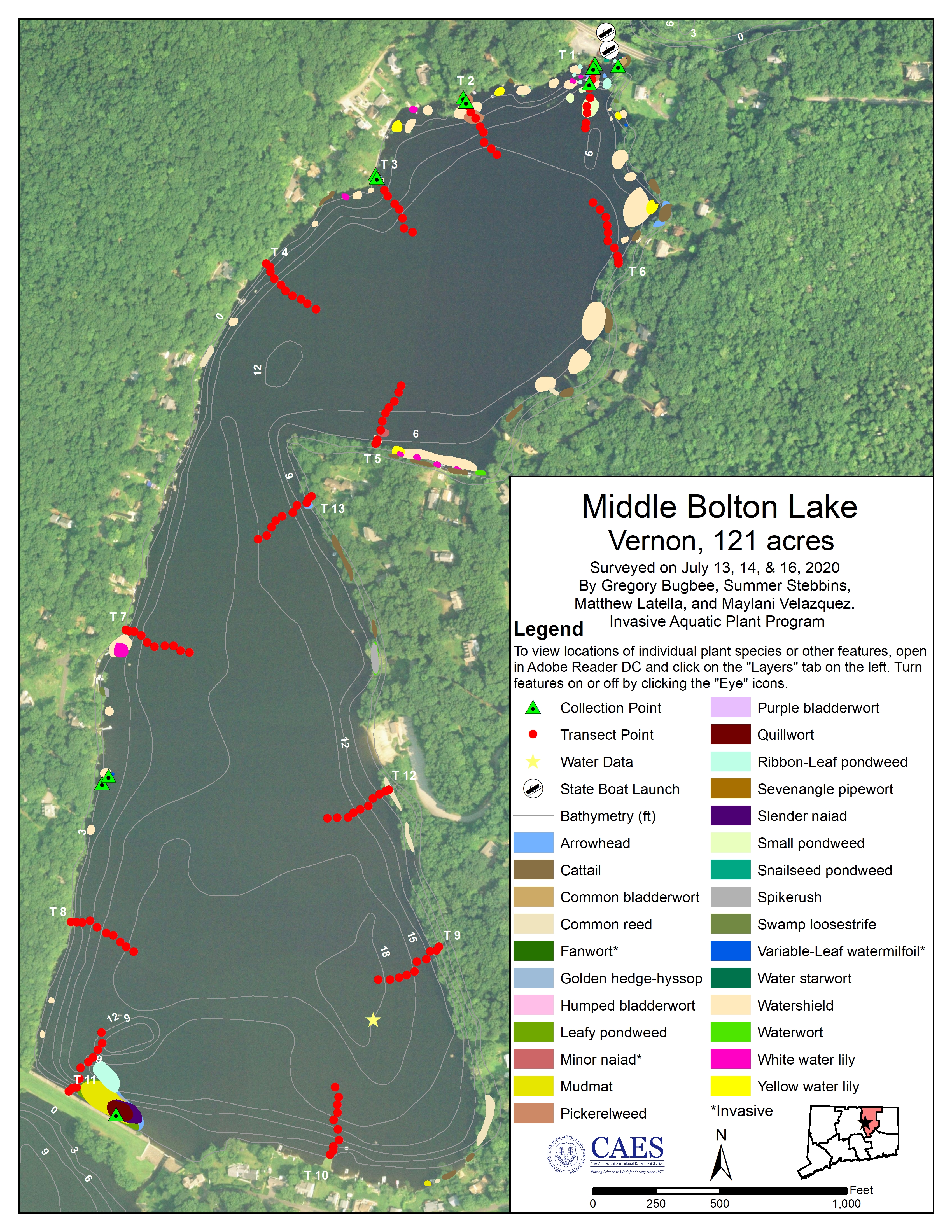 2020 Aquatic Plant Survey Map of Middle Bolton Lake in Vernon, CT