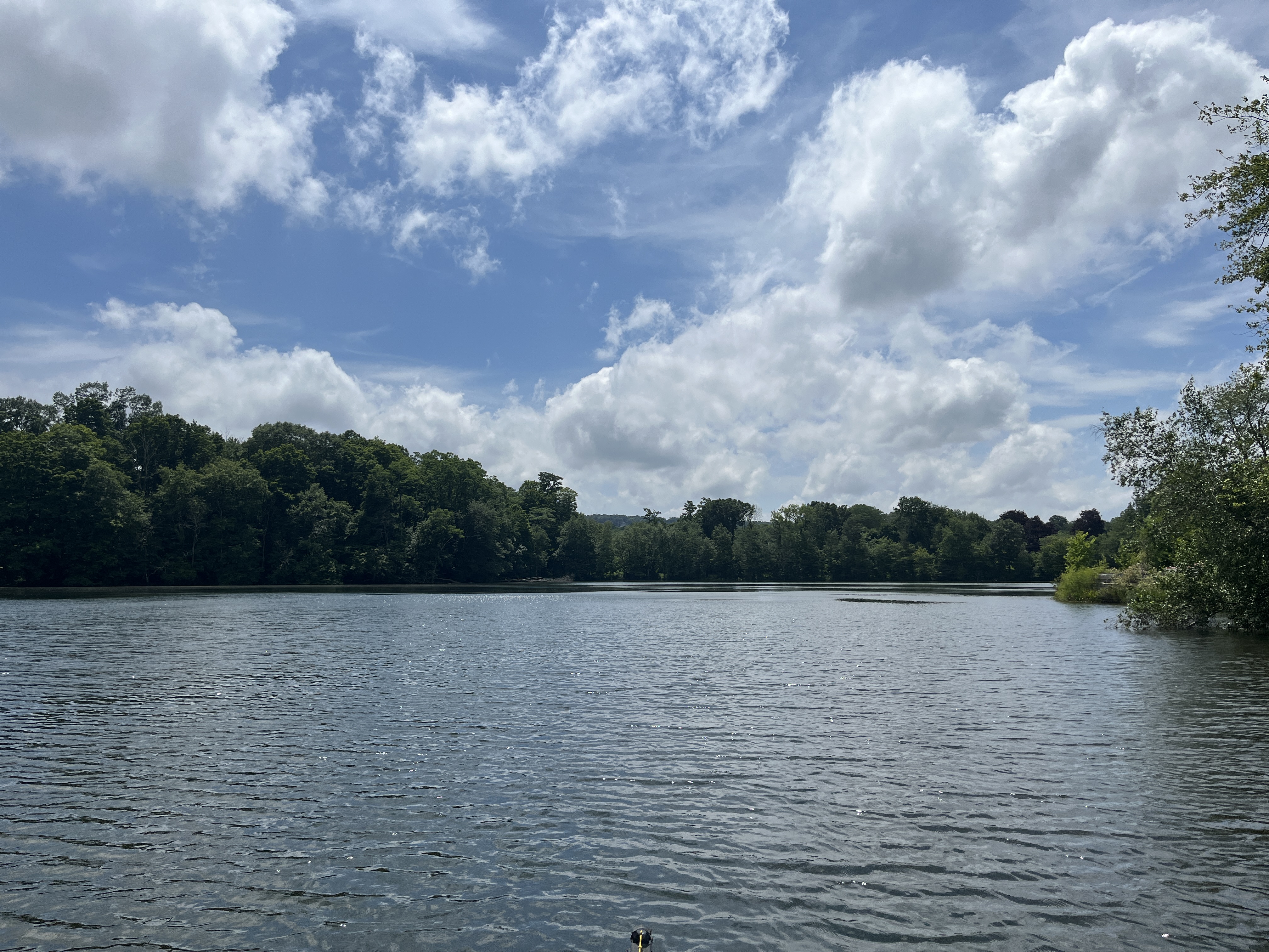 Photo of Lake Naraneka on July 10, 2024.
