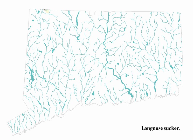Longnose sucker distribution map.