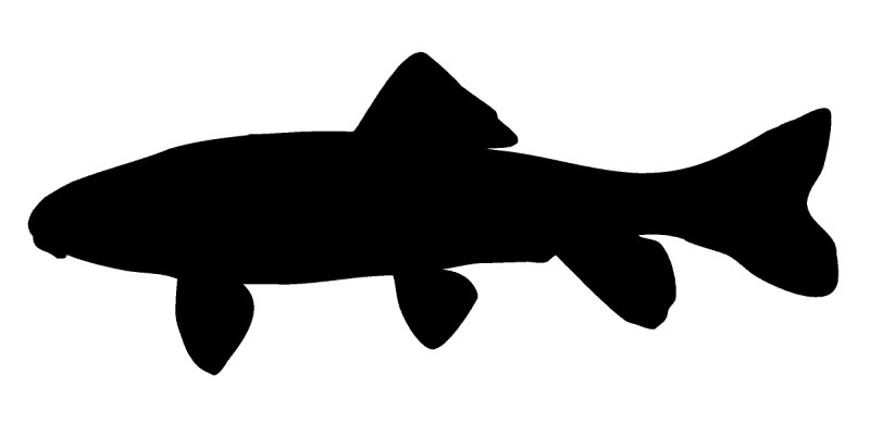 Sucker silhouette.
