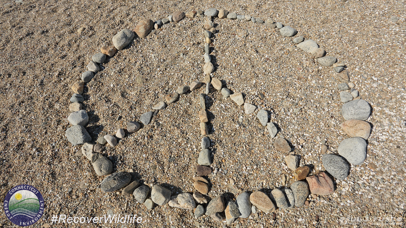 Hammonasset