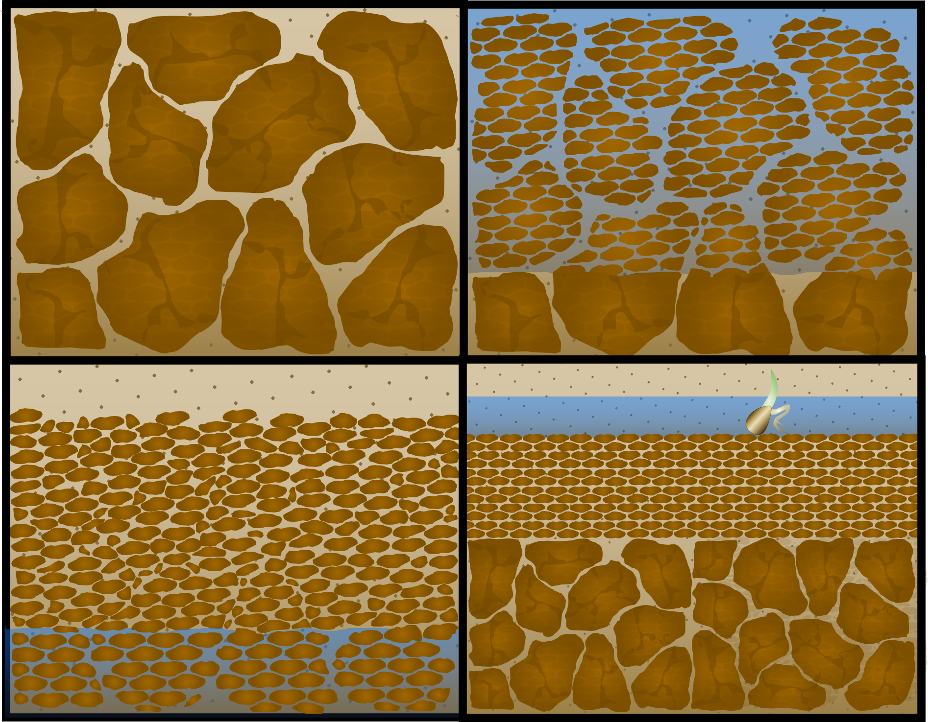 Soil Dispersion Diagram