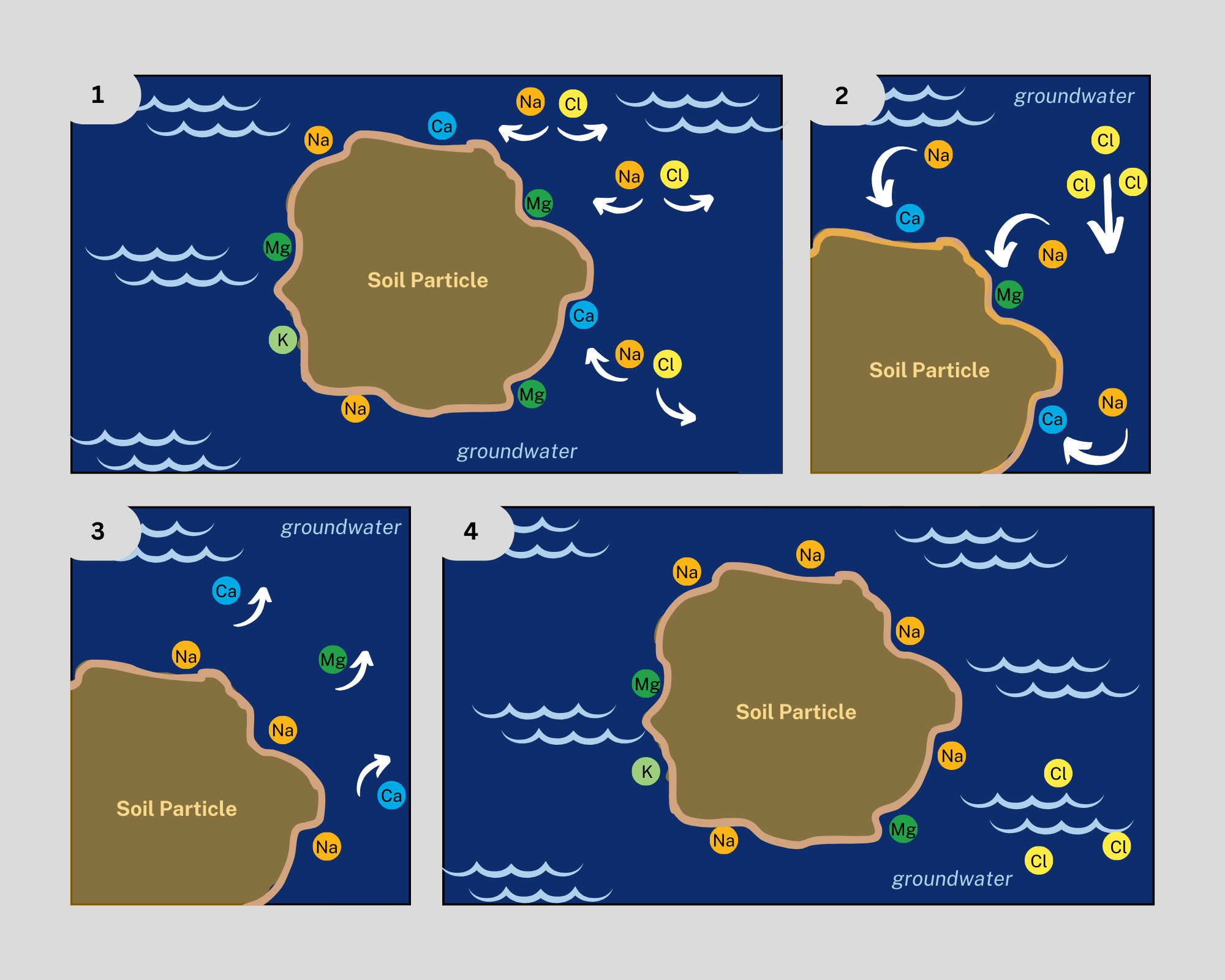 Four-panel graphic illustrating salt chemistry in soil