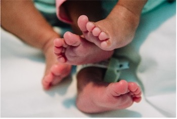 Newborn Screening Program Stock Image