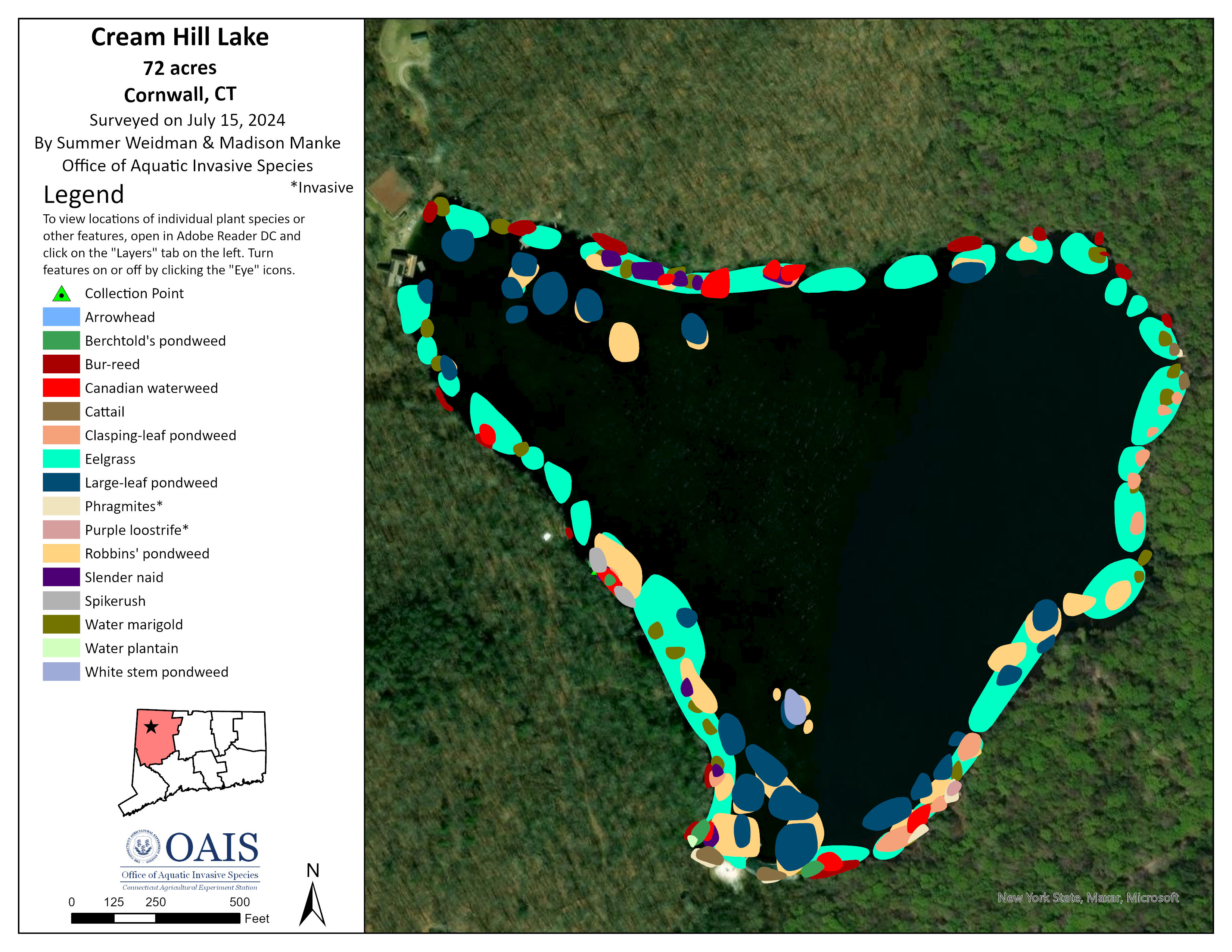 Vegetation map of Cream Hill Lake in Cornwall, CT. Different plant species are mapped using different colors.