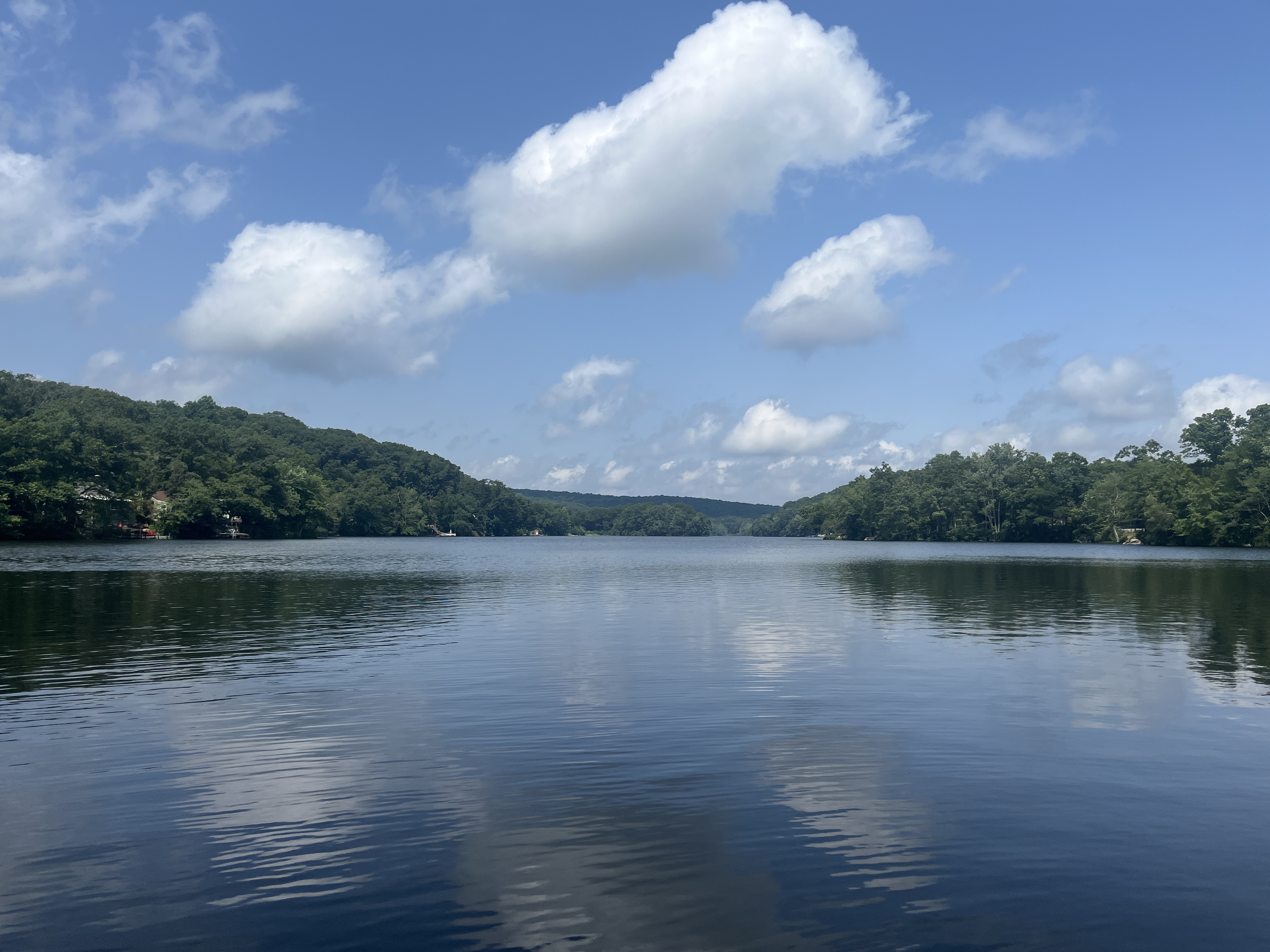 Photo of Long Pond taken during the 2024 aquatic vegetation survey.
