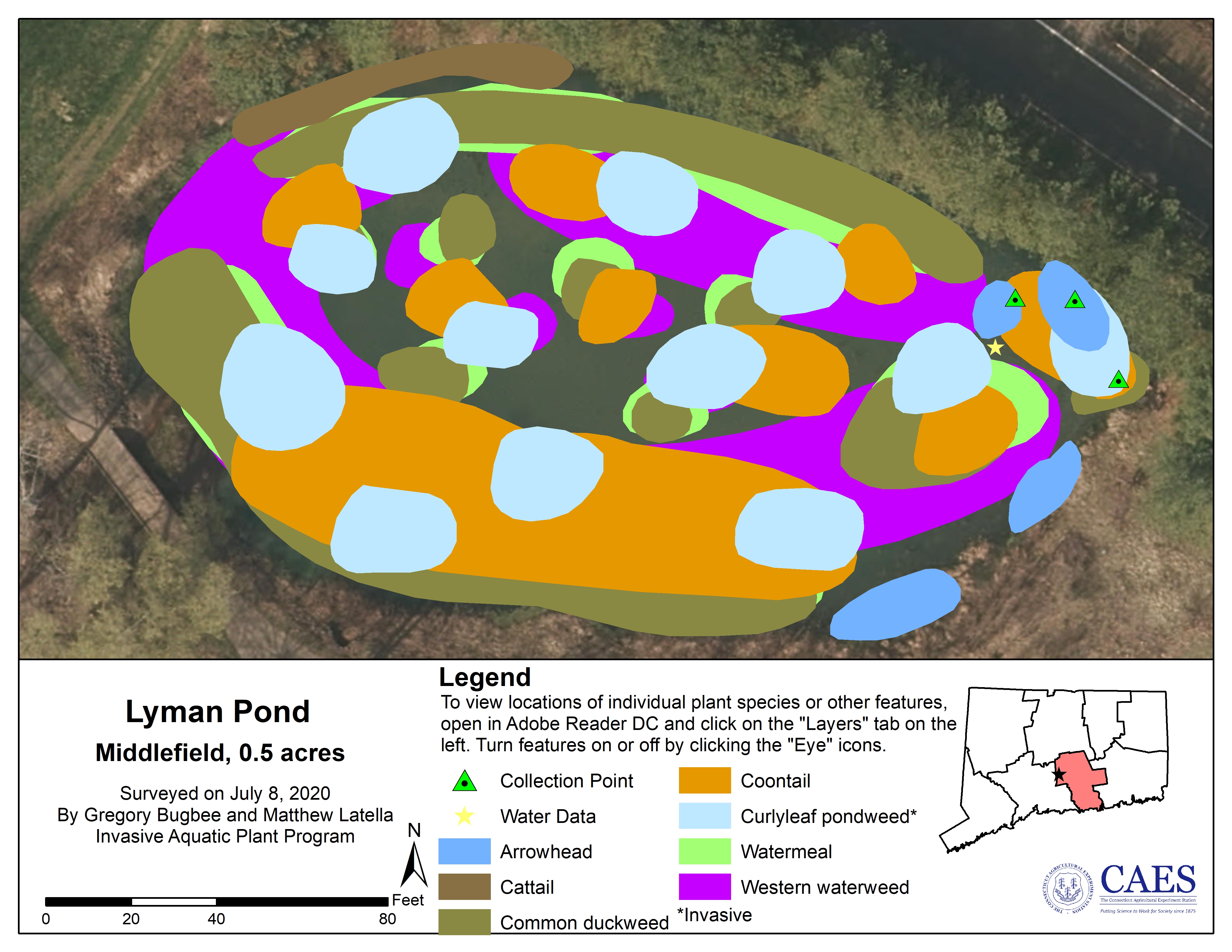 2020 aquatic plant survey map of Lyman Pond