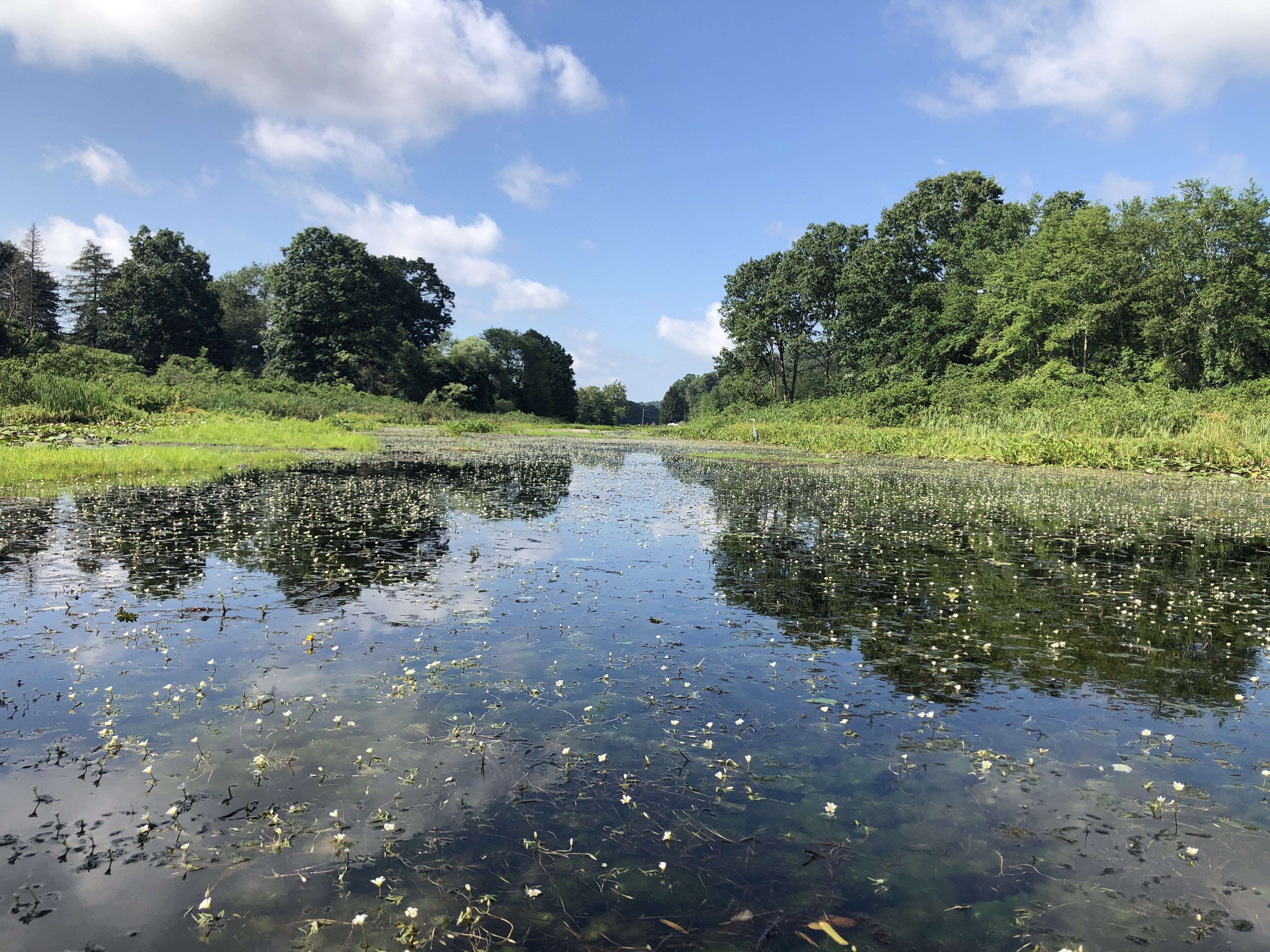 Southern cove of Lake Quonnipaug in Guilford, CT