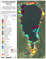 Aquatic vegetation survey map of Lake Wononpakook