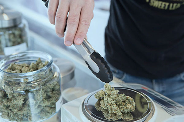 Cannabis Weighing 