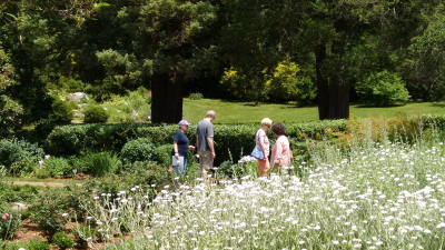 Volunteer-led garden tour during Connecticut's Historic Gardens Day
