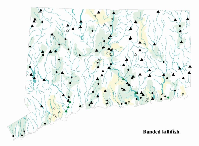 Banded Killifish distribution map.