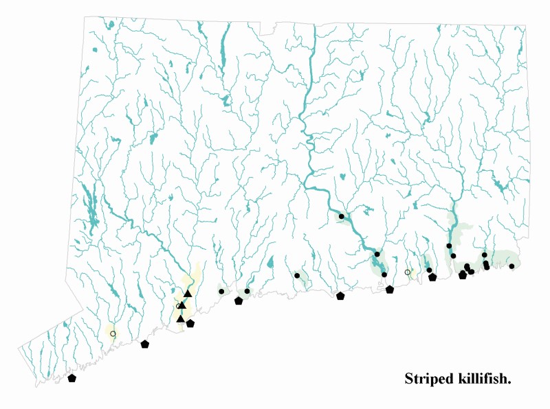 Striped killifish distribution map.