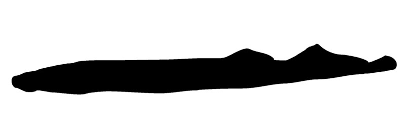 Lamprey silhouette.
