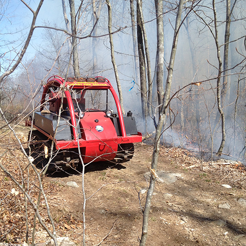 bombardier in the woods