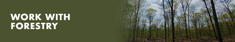Image of a forest scene with the words work with forestry.