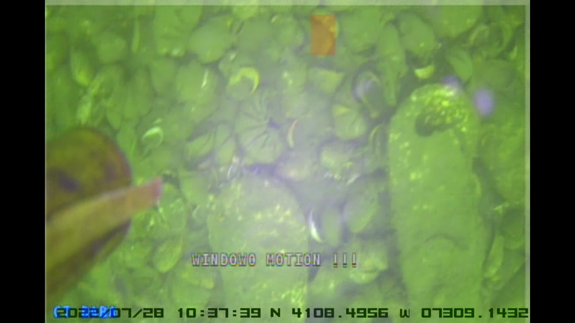 Natural bed restoration