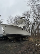 36', Pacemaker