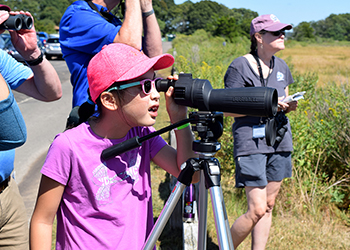 Wildlife Viewing